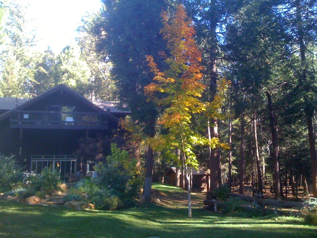 Harmony Ridge Lodge ネバダシティ エクステリア 写真