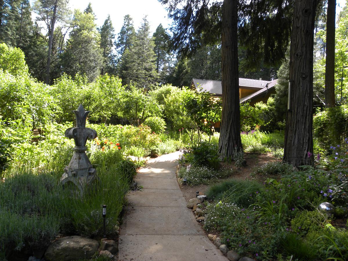 Harmony Ridge Lodge ネバダシティ エクステリア 写真