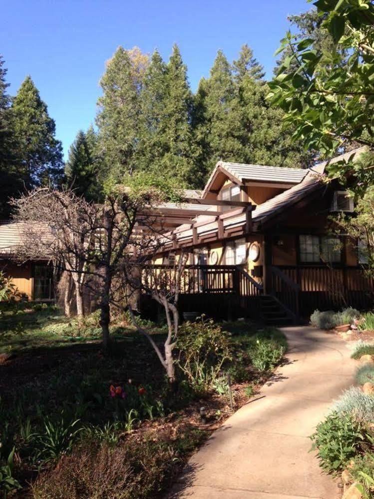 Harmony Ridge Lodge ネバダシティ エクステリア 写真